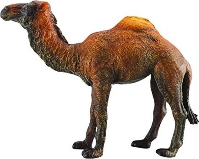 Collecta Δρομάδα Καμήλα 88208