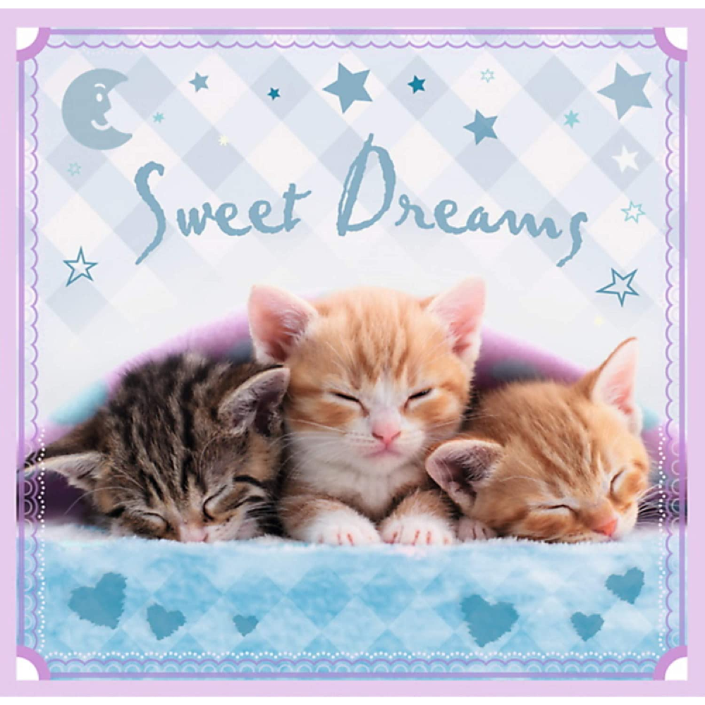 Trefl - Puzzle 3 in 1 Sweets Kittens 20/36/50 Pcs 34809