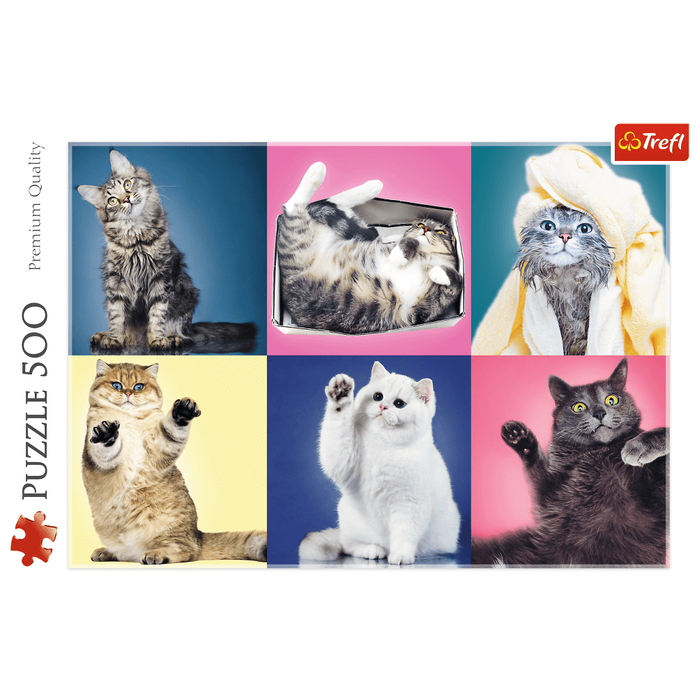 Trefl - Puzzle Kittens 500 Pcs 37377