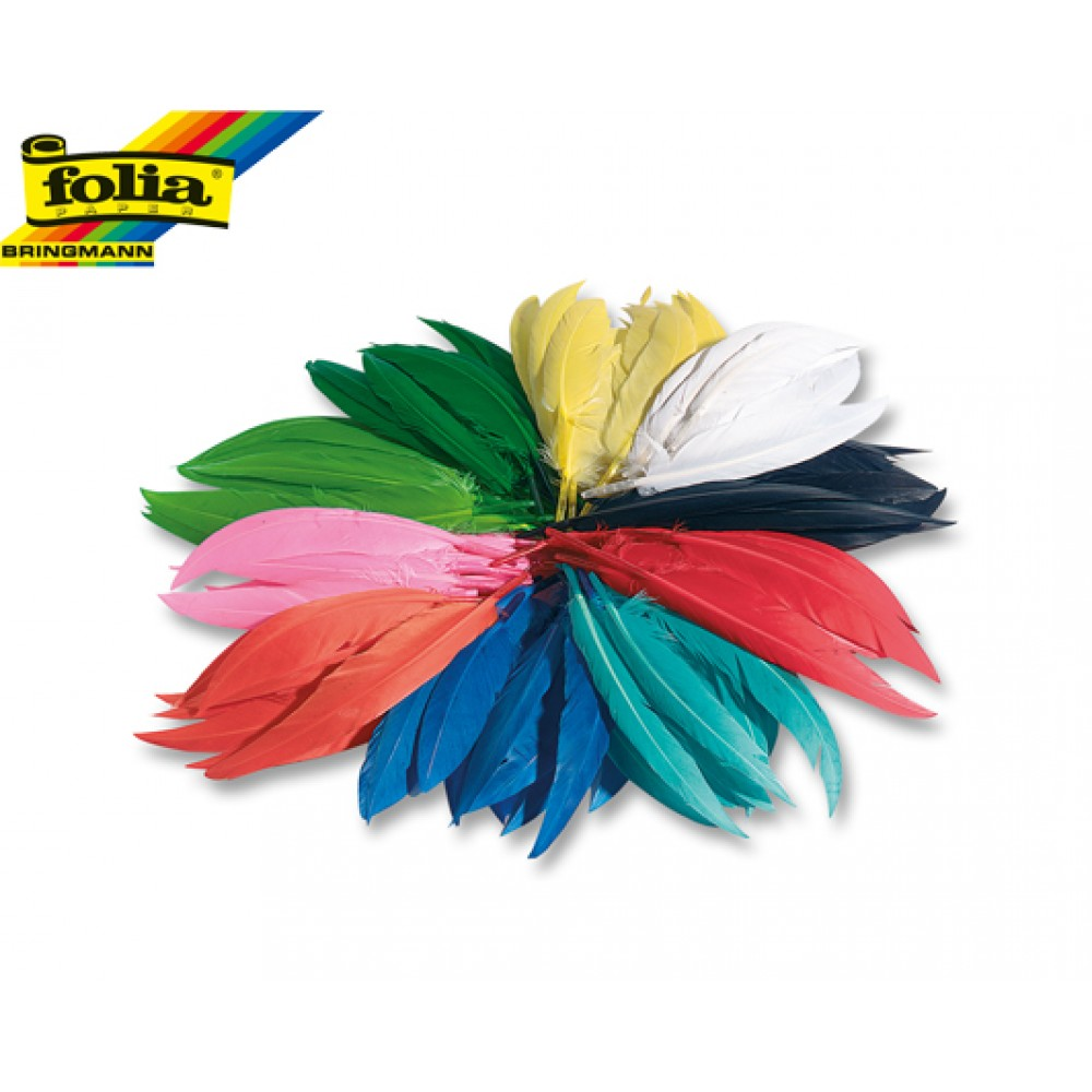 Folia - Φτερά Ινδιάνων 100 gr 55109