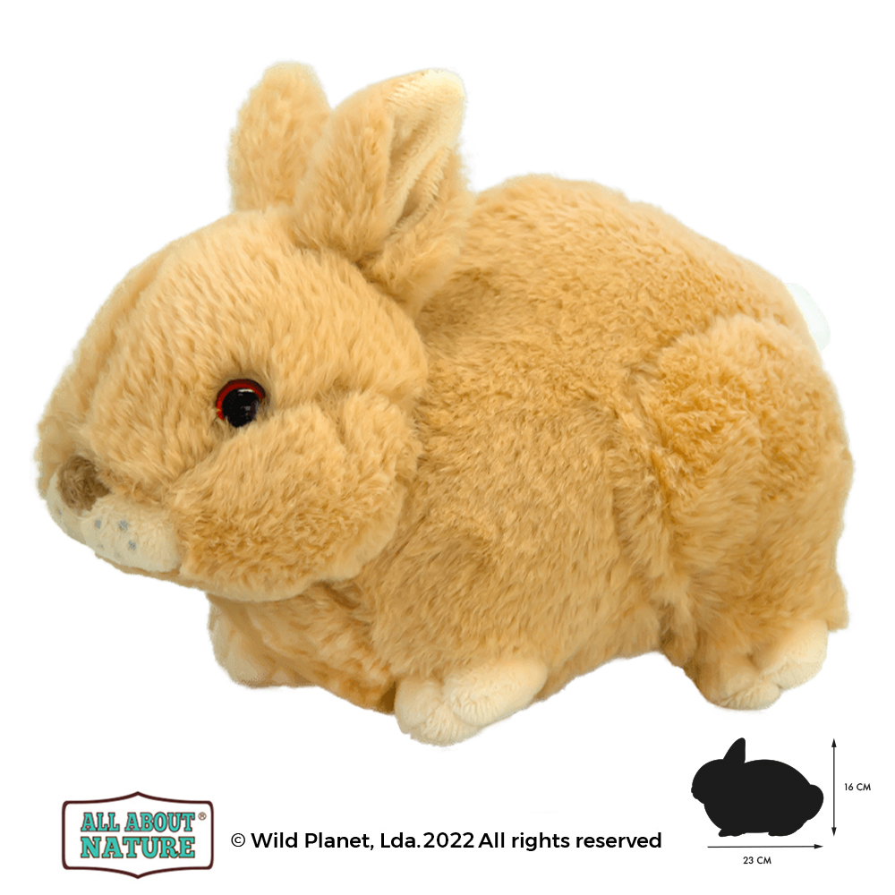 Wild Planet – Λούτρινο Baby Rabbit 16 εκ K8632