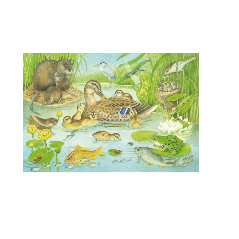 Schmidt Spiele – Puzzle 3 in 1 Animal Family 48/48/48 Pcs 56222