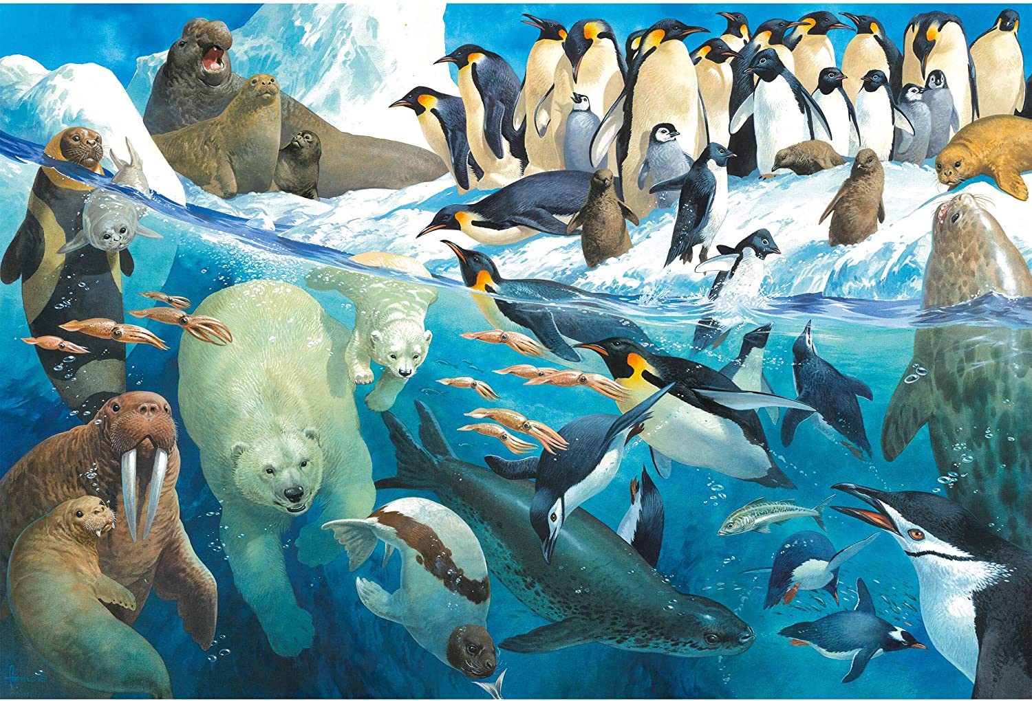 Schmidt Spiele – Animals Of The Polar Regions100 Pcs 56295