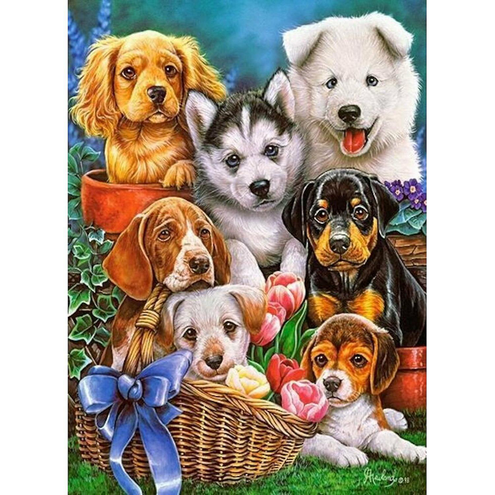 Castorland - Puzzle, Puppies 300 Pcs B-030323